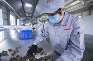 研發案例 (1)